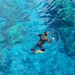 From Cancun: Snorkeling Cozumel The Heaven - The Value of This Tour