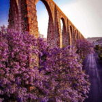 FROM CDMX and PUEBLA: Queretaro, Guanajuato, Hidalgo, Morelia 4 DAYS - Day 1: From Mexico City or Puebla to Querétaro