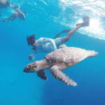 From Cozumel: 3 Reefs Boat Tour with Drinks and Snorkeling - A Detailed Look at the Experience