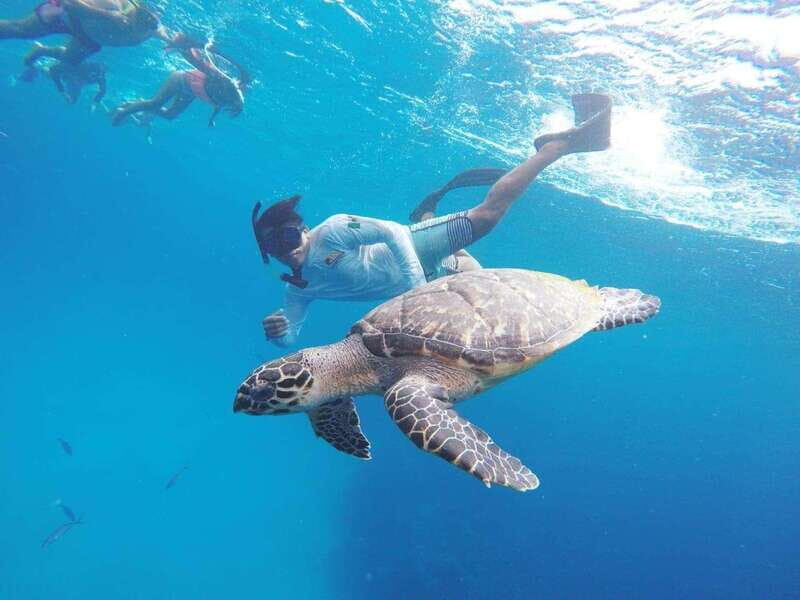 From Cozumel: 3 Reefs Boat Tour with Drinks and Snorkeling - A Detailed Look at the Experience