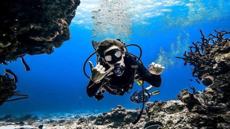 From Cozumel: Double Tank Scuba Diving for Certified Divers - What Sets This Tour Apart?