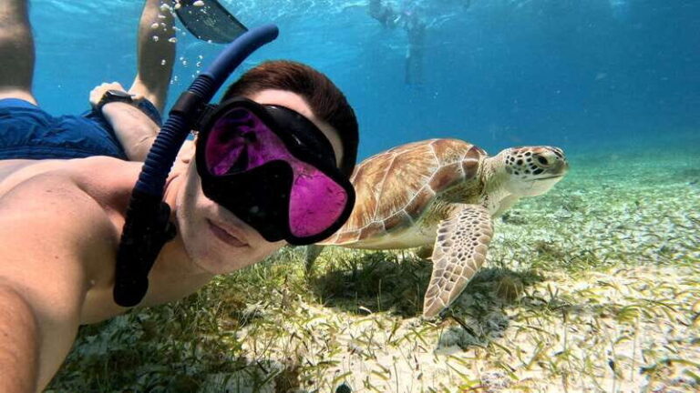 From Cozumel: Snorkel Private Charter to el Cielo & Cielito - What Makes This Tour Stand Out?