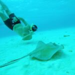 From Cozumel: Starfish, Stingrays & El Cielo Beach Snorkel - Transportation, Group Size, and Timing