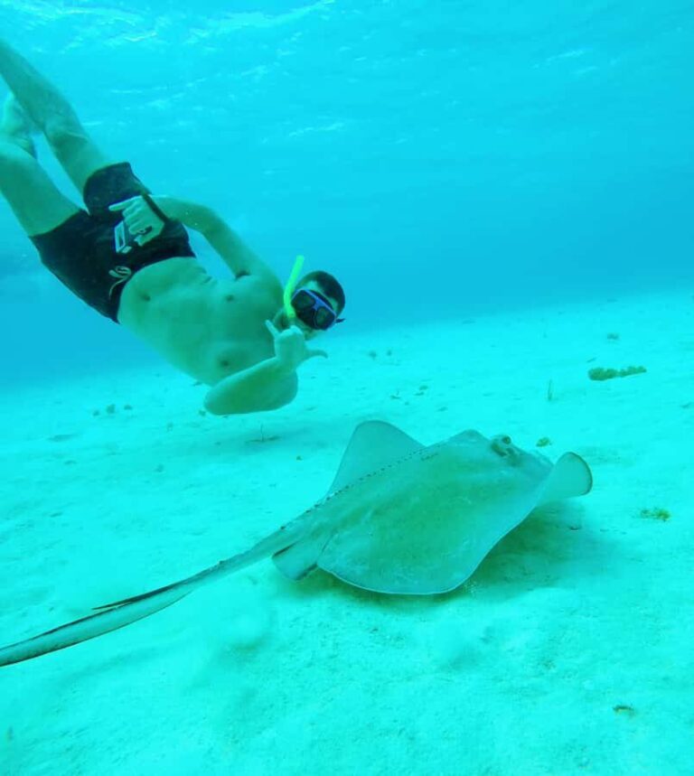From Cozumel: Starfish, Stingrays & El Cielo Beach Snorkel - Transportation, Group Size, and Timing