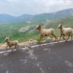 From Denver: Red Rocks and Mount Blue Sky Guided Day-Trip - What to Expect on the Tour