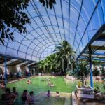 From Denver: Small Group Mount Evans & Hot Springs Day Tour - An Authentic Rocky Mountain Experience