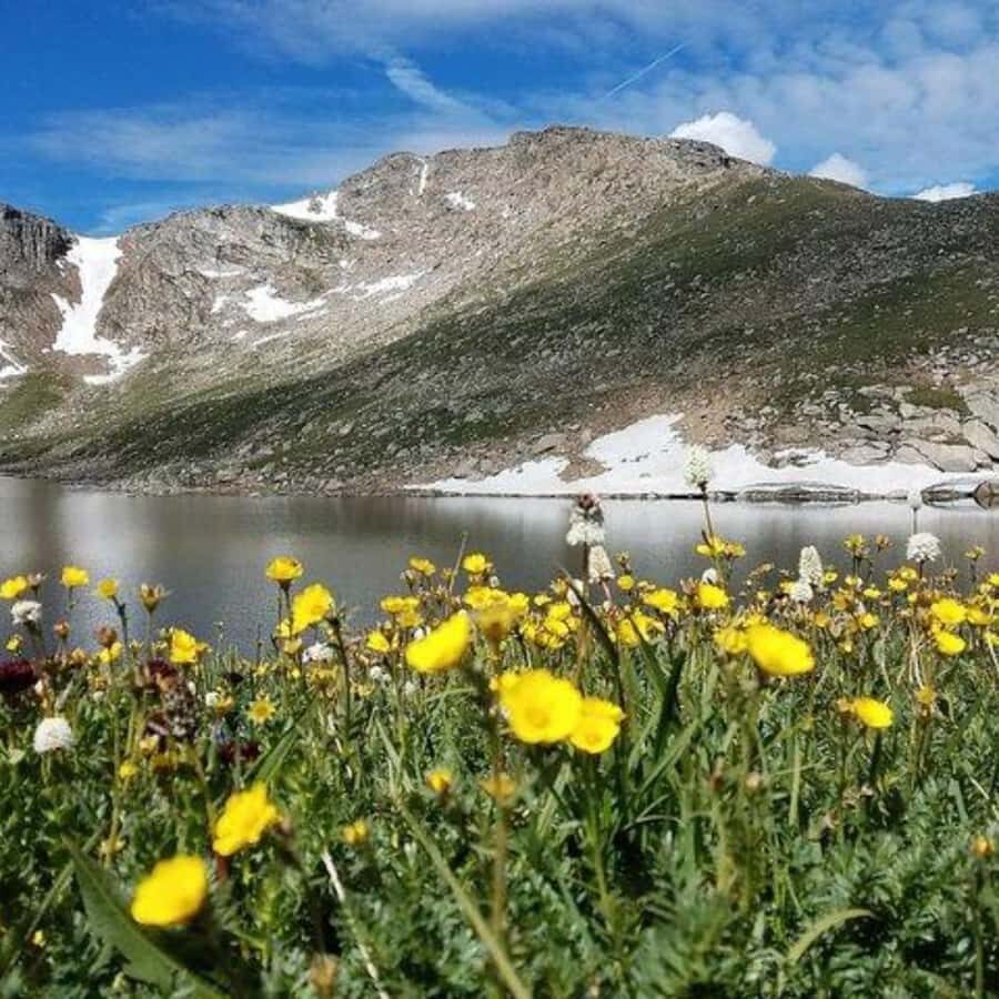 From Denver - Small group tour to Mount Evans/Mount Blue Sky - Highlights of the Tour