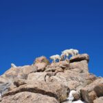 From Denver: Trip to Mount Blue Sky Summit and Glacial Lake - Analyzing the Value and Practicalities