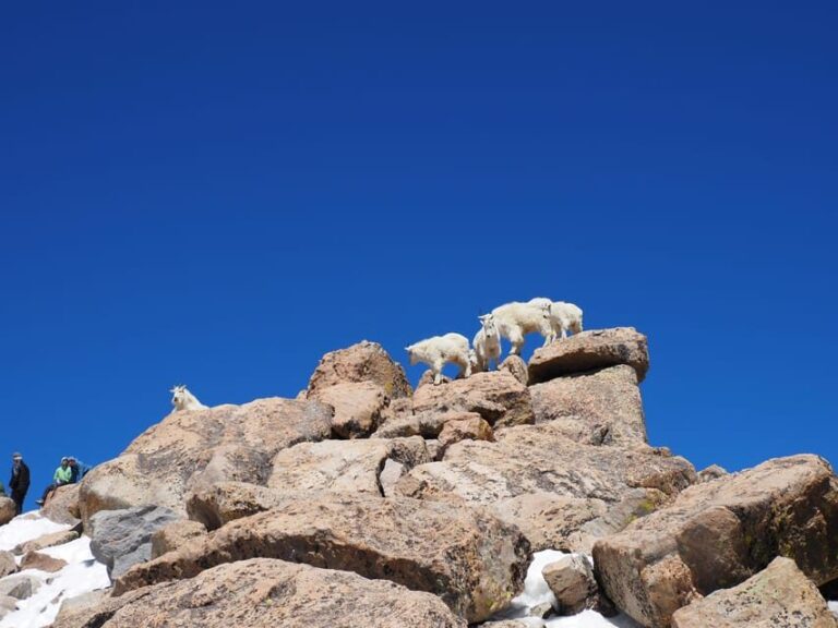 From Denver: Trip to Mount Blue Sky Summit and Glacial Lake - Analyzing the Value and Practicalities