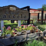 From Ensenada: Ojos Negros Valley Cheese & Wine Tasting Tour - Practicalities and Tips