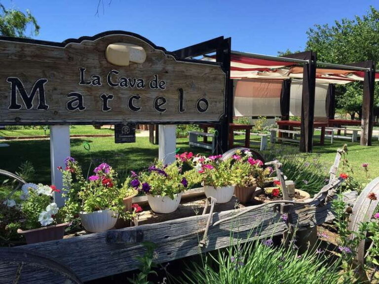 From Ensenada: Ojos Negros Valley Cheese & Wine Tasting Tour - Practicalities and Tips