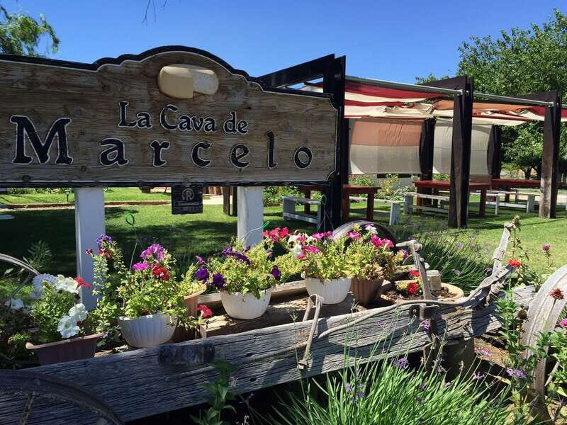 From Ensenada: Ojos Negros Valley Cheese & Wine Tasting Tour - Practicalities and Tips