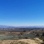 From Guadalajara: Tequila Tour: Tasting Experience & Lunch - The Itinerary: What You’ll Experience