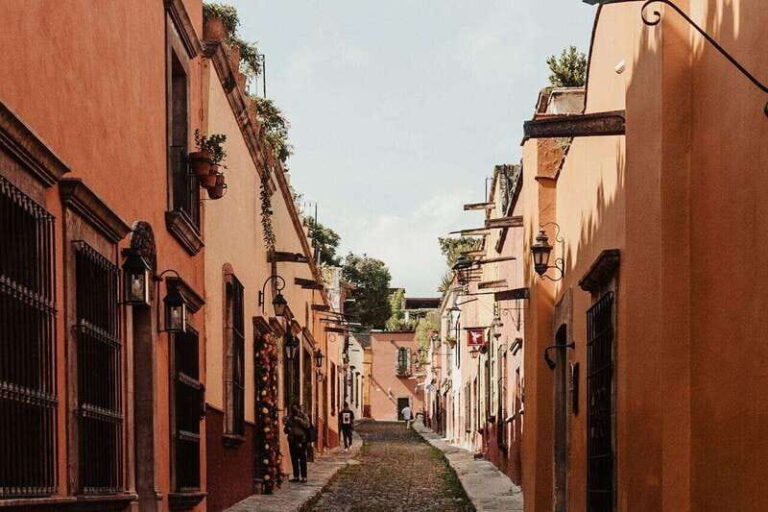 From Guanajuato: Dolores Hidalgo/San Miguel Private Tour - Final Thoughts: Who Will Love This Tour?