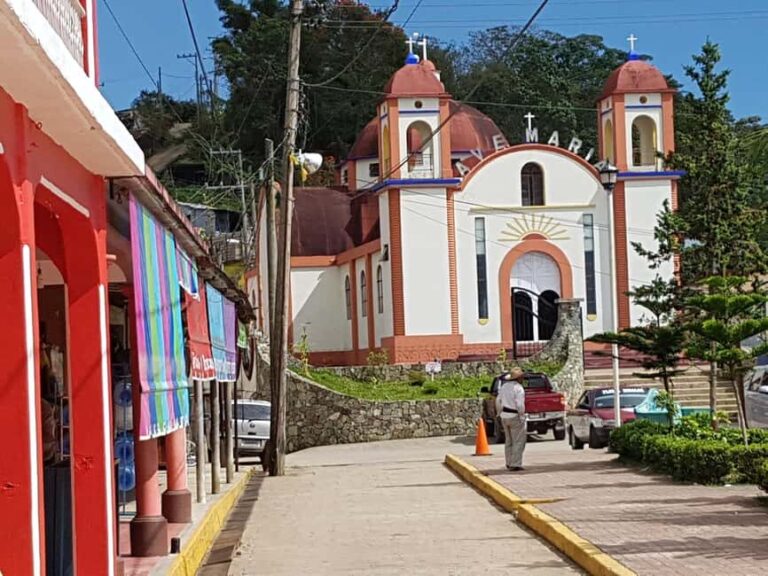 From Huatulco: 3 Levels, Coffee, Culture, and Nature Tour - Transportation and Group Dynamics
