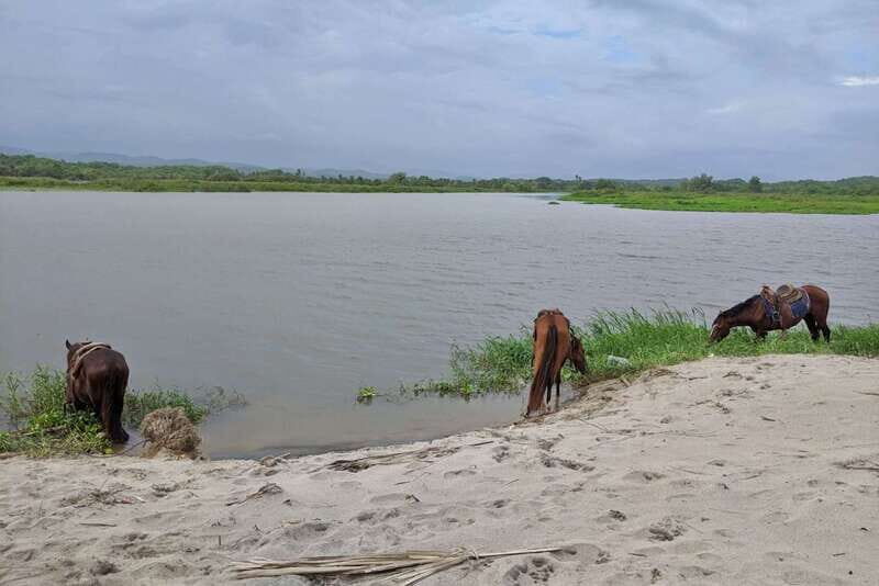 From Huatulco: Beach Horseback Riding Experience - Who Will Love This Experience?