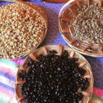 From Huatulco: Coffee and Mezcal Tour - Why This Tour Matters