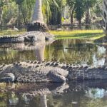 From Huatulco: Crocodiles and Turtles Eco Day-Tour - Exploring the Itinerary in Detail