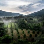 From Huatulco: Exotic garden on an ecotourism ranch and a visit to a viewpoint - Practical Details & Tips