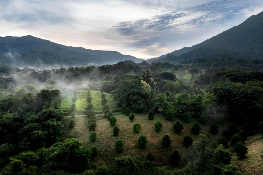 From Huatulco: Exotic garden on an ecotourism ranch and a visit to a viewpoint - Practical Details & Tips