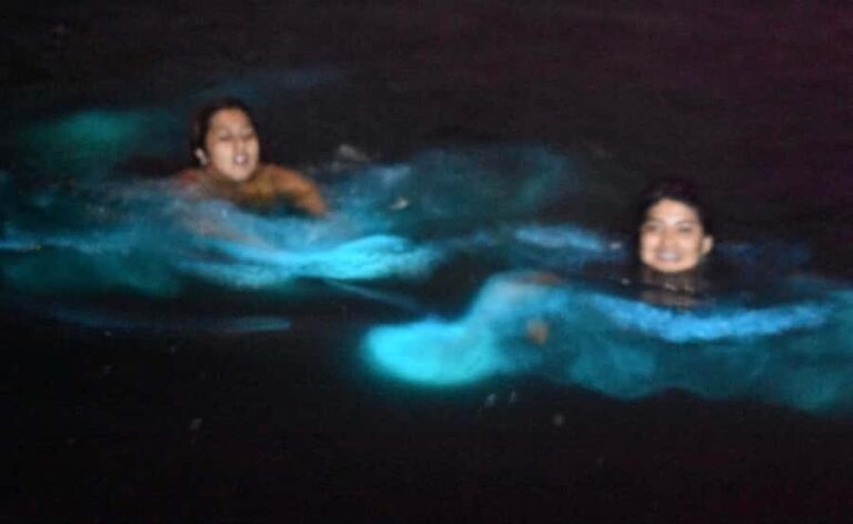 From Huatulco: Magical Bioluminescence Experience - An In-Depth Look at the Experience