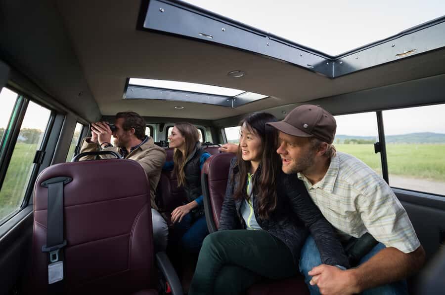 From Jackson: 4-Hour Eco Safari in Grand Teton National Park - Why Choose This Safari?