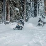 From Jackson: Yellowstone Grand Canyon Snowmobile Tour - Exploring the Yellowstone Grand Canyon Snowmobile Tour