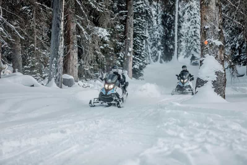 From Jackson: Yellowstone Grand Canyon Snowmobile Tour - Exploring the Yellowstone Grand Canyon Snowmobile Tour