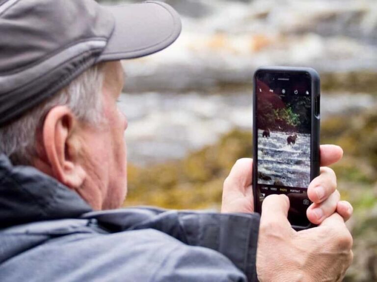 From Juneau: Bear Viewing on Chichagof Island - What Makes This Tour Stand Out?