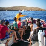 From Kihei: Molokini Crater and Turtle Town Snorkeling - What Makes This Tour Stand Out?