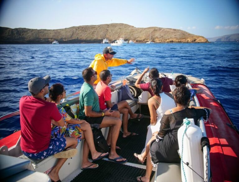 From Kihei: Molokini Crater and Turtle Town Snorkeling - What Makes This Tour Stand Out?