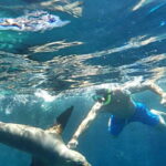 From La Paz: Espíritu Santo Island Tour all inclusive - Key Points