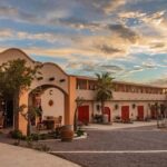 From La Playa: Vineyard Tour w/ Tasting & Todos Santos Stop - The Vineyard Experience: Savoring Baja’s Unique Flavors