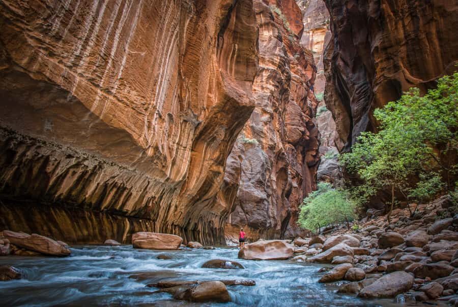 From Las Vegas: Zion National Park Day Trip - The Itinerary: What to Expect on Your Zion Day Trip