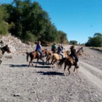 From Loreto: Baja Desert Horseback Riding Tour - The Sum Up