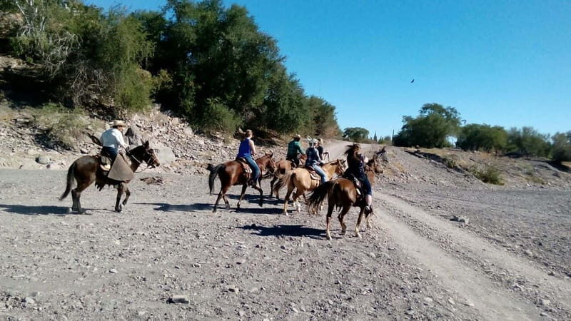 From Loreto: Baja Desert Horseback Riding Tour - The Sum Up