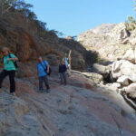From Loreto: Canipole Cave Painting Guided Hike - Who This Tour Is Perfect For