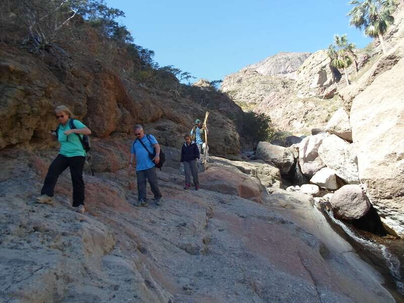 From Loreto: Canipole Cave Painting Guided Hike - Who This Tour Is Perfect For