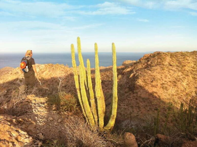 From Loreto: Tabor Canyon Guided Hike - FAQ