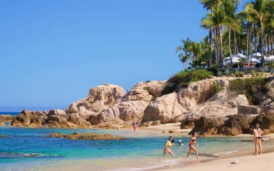 From Los Cabos: La Palmilla Beach Time & Drinks - Detailed Review of the Tour