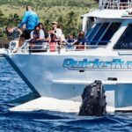 From Maalaea: Whale Watching Tour Aboard the Quicksilver - Who Will Love This Tour?