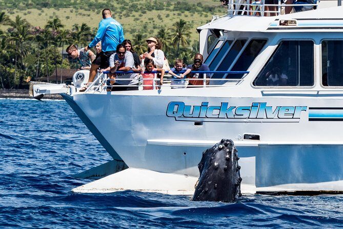 From Maalaea: Whale Watching Tour Aboard the Quicksilver - Who Will Love This Tour?