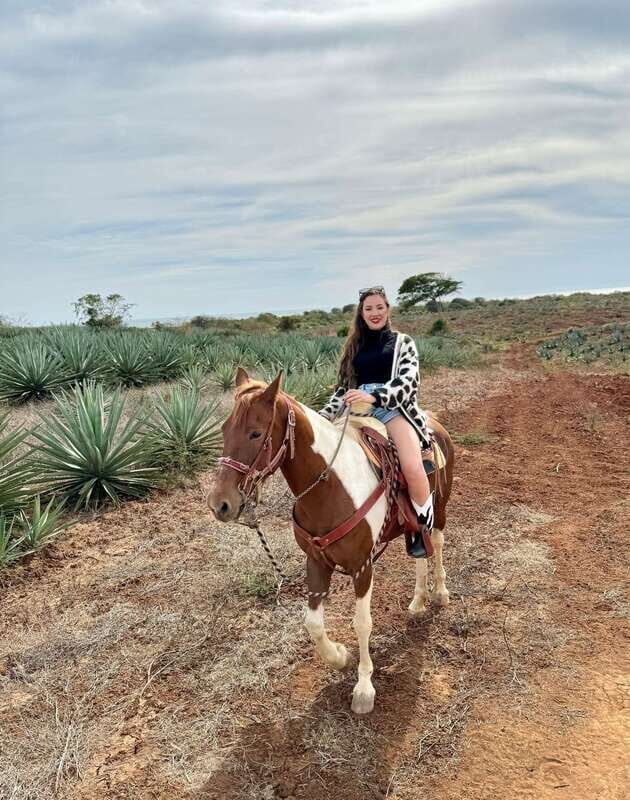 From Mazatlan: ATV & Horse Back riding with Tequila Tasting - What Makes This Tour Valuable?