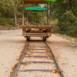 From Merida: 3 Cenotes - The Experience From the Traveler Perspective