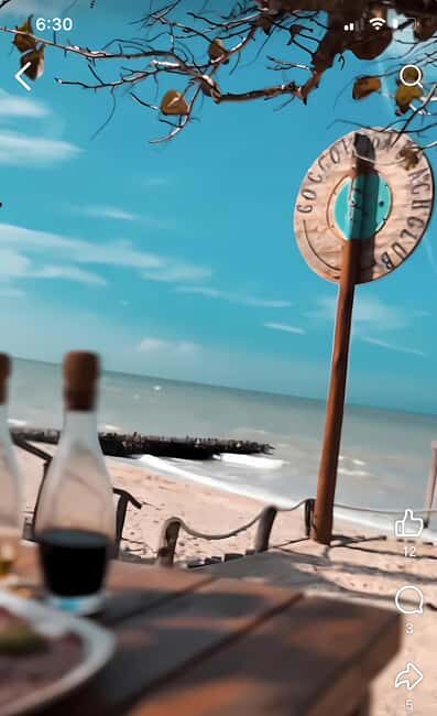 From Mérida: Beach Tour - Who Is This Tour Best Suited For?