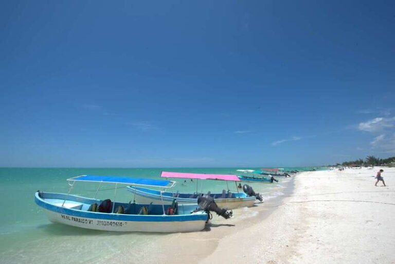 From Mérida: Ria Celestun Biosphere Reserve Tour - Authentic Experiences Revealed