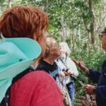 From Merida to Celestún: Biosphere, Flamingos & Beach Escape - What’s Worth Noting