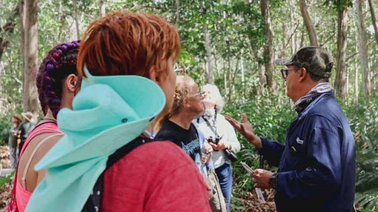 From Merida to Celestún: Biosphere, Flamingos & Beach Escape - What’s Worth Noting