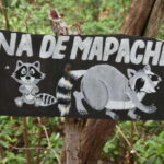 From Merida: Transfer to Celestun and Sisal - What Makes This Tour Special?