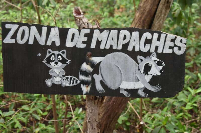 From Merida: Transfer to Celestun and Sisal - What Makes This Tour Special?